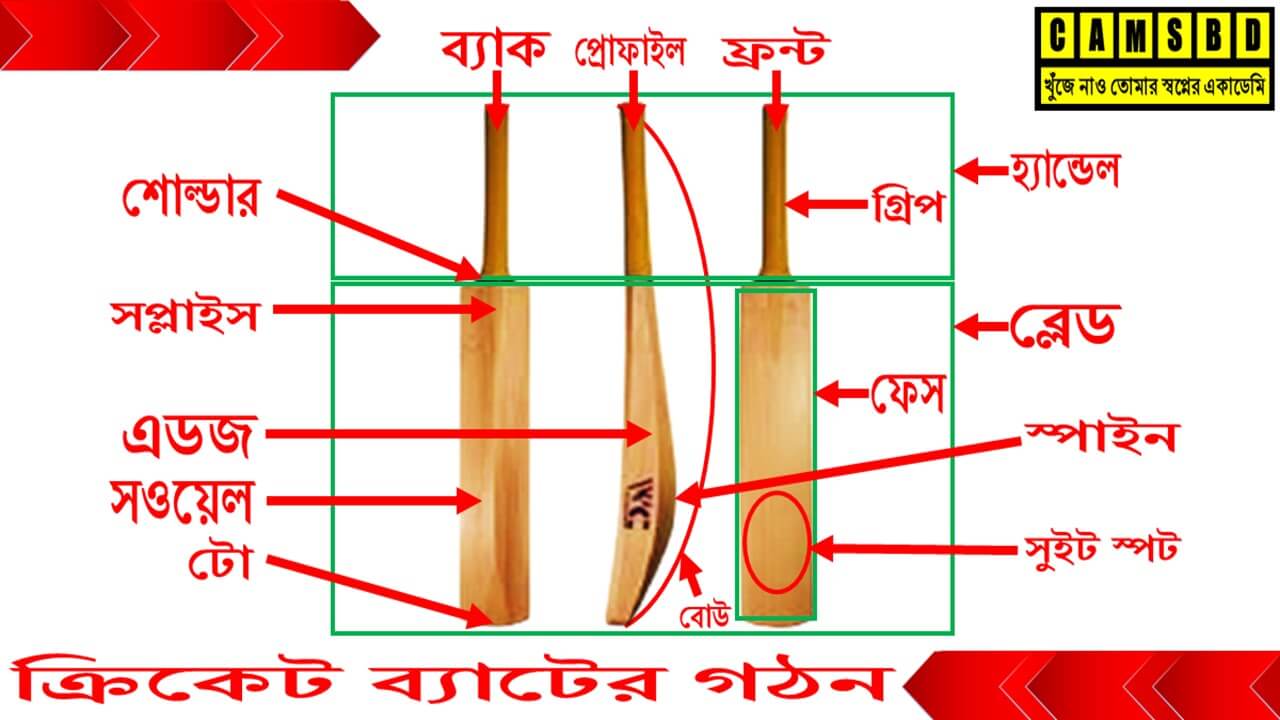 anatomy of cricket bats