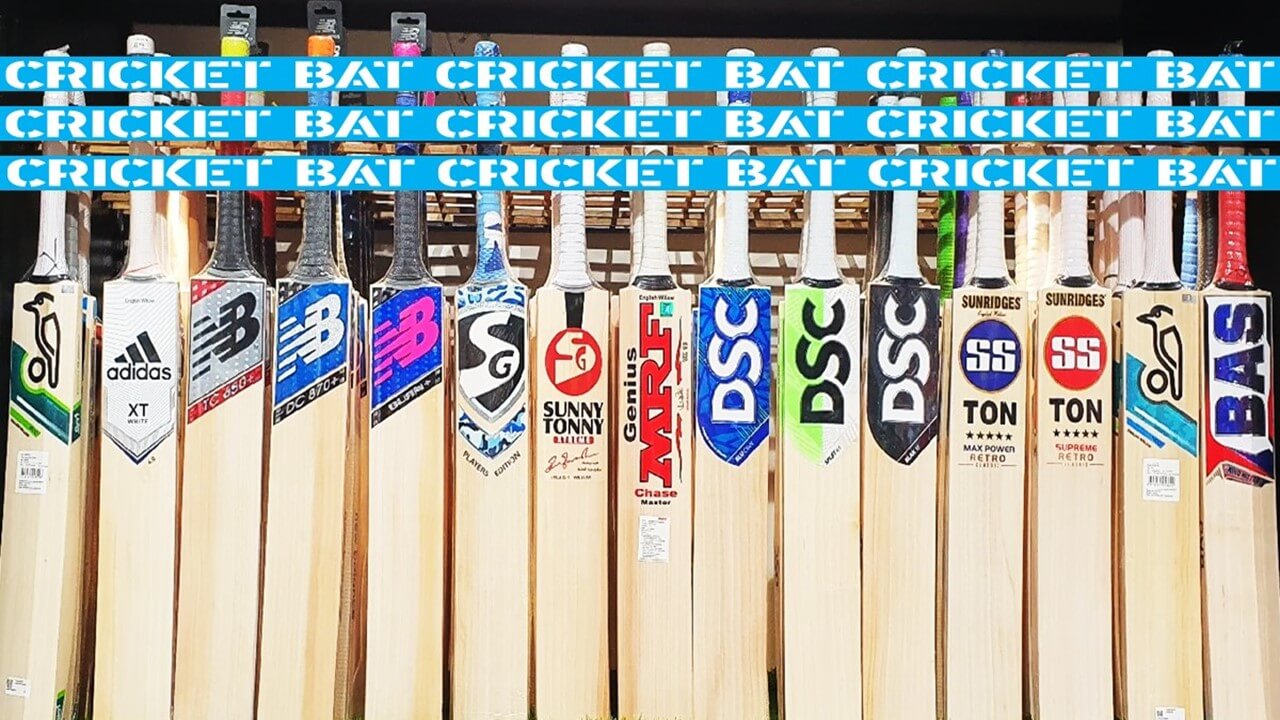 anatomy of cricket bats