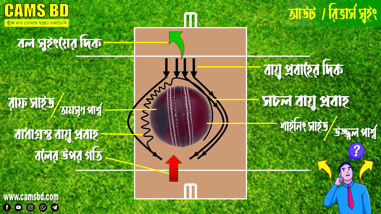 basicofCricket-2