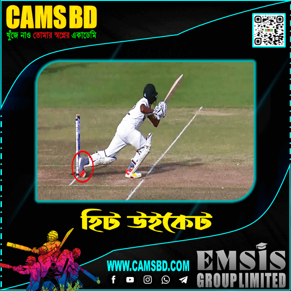 wicket6
