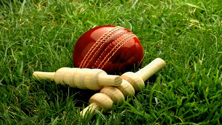 cricket